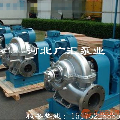 白山250S 39雙吸泵中開式全方位質(zhì)檢流程，助力水務(wù)環(huán)保行業(yè)高效運行
